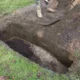 ekshumacja zwłok
